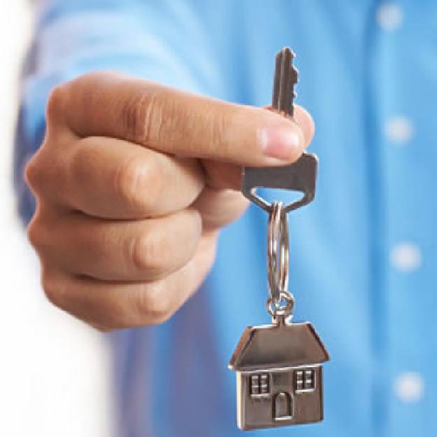 Real Estate Agents